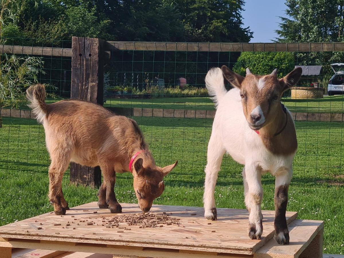Gite Le Manege Normand Grand-Camp  Luaran gambar